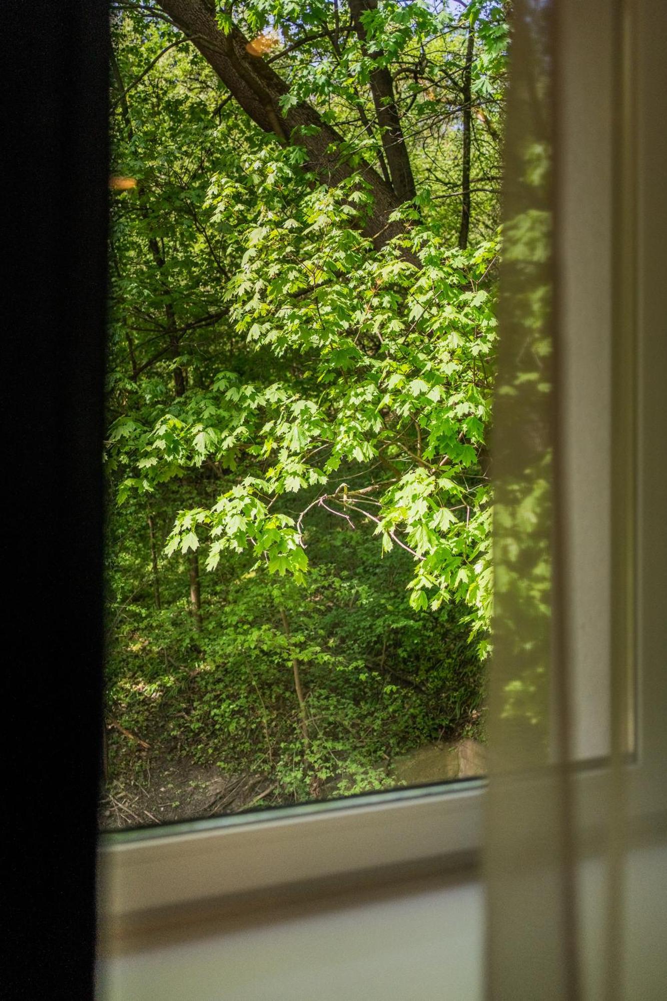 Riverra House Kaunas Rom bilde